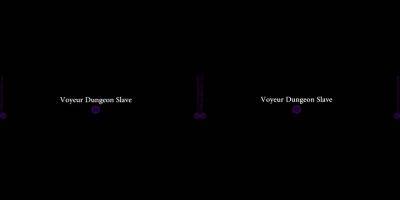 Voyeur Dungeon Slave VR - drtuber.com