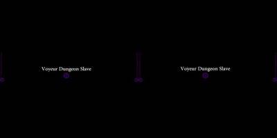 Voyeur Dungeon Slave VR - drtuber.com